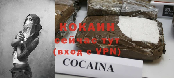 крисы Аркадак
