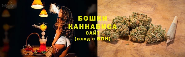 шишки Армянск