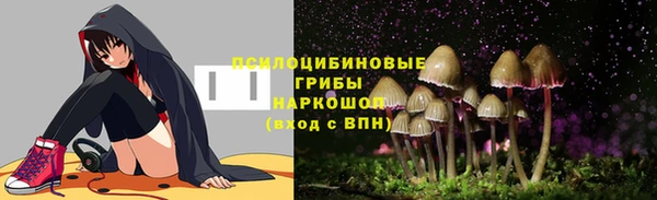 крисы Аркадак