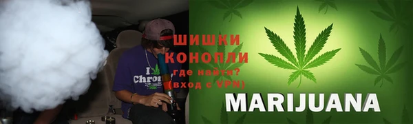 шишки Армянск