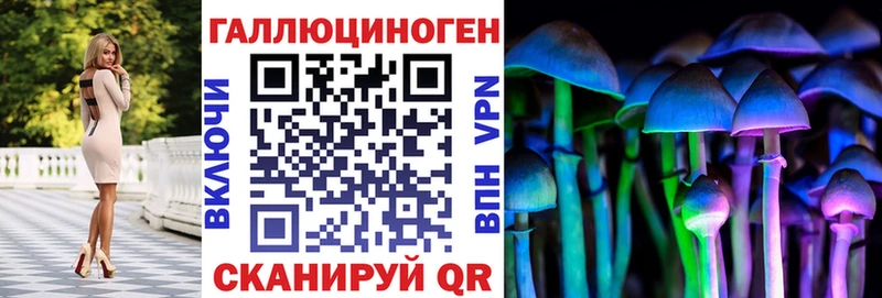 Псилоцибиновые грибы Psilocybine cubensis  Лесосибирск 