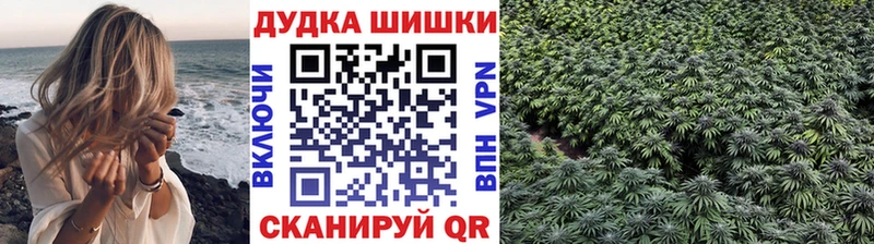 закладки  Лесосибирск  ссылка на мегу tor  Марихуана SATIVA & INDICA 